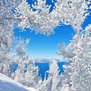 Meet your Posher, Fenya